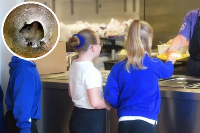 The kitchen at The Blessed Sacrament Catholic Primary School had to close last week amid reports of rats.