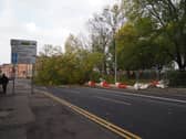 A collapsed tree on Fishergate Hill, Preston, this morning.