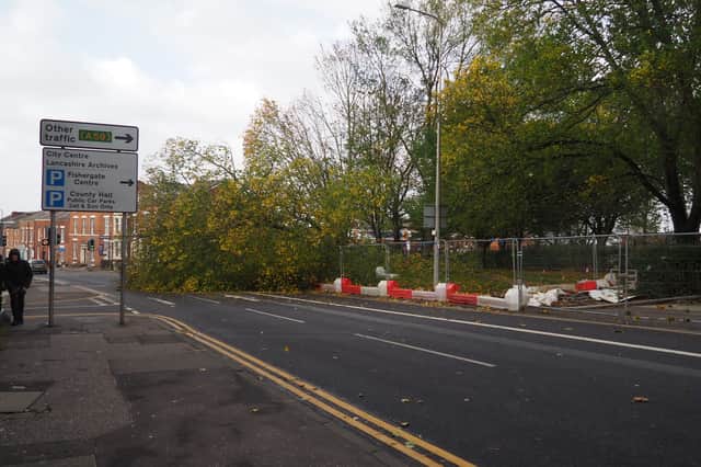 A collapsed tree on Fishergate Hill, Preston, this morning.