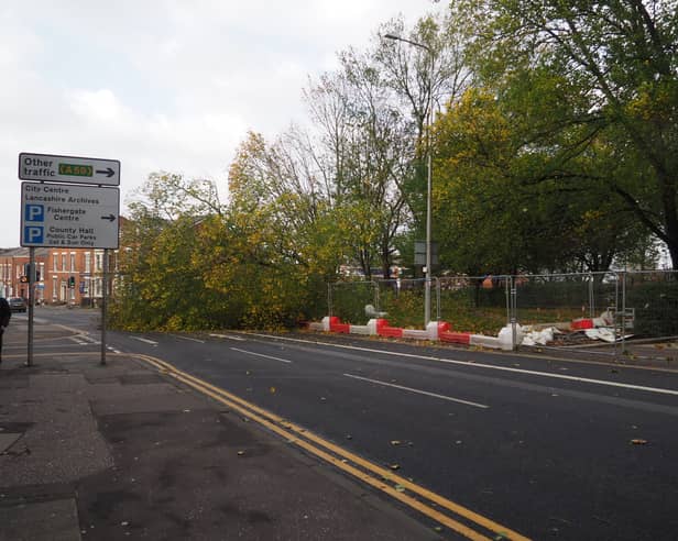 A collapsed tree on Fishergate Hill, Preston, this morning.