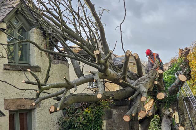 Teams are now working hard to remove the tree