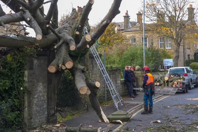 West Road remains closed while the tree is cleared
