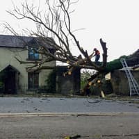 Shock after tree plummets into Lancaster home