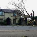The tree collapsed into the home at 6:50am this morning as a result of Storm Boelo
