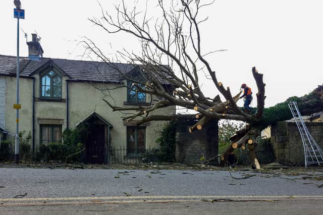 The tree collapsed into the home at 6:50am this morning as a result of Storm Boelo