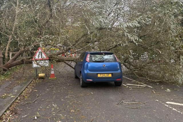 Lucy had been thinking of purchasing a new car the week previous, thankfully this was not the case