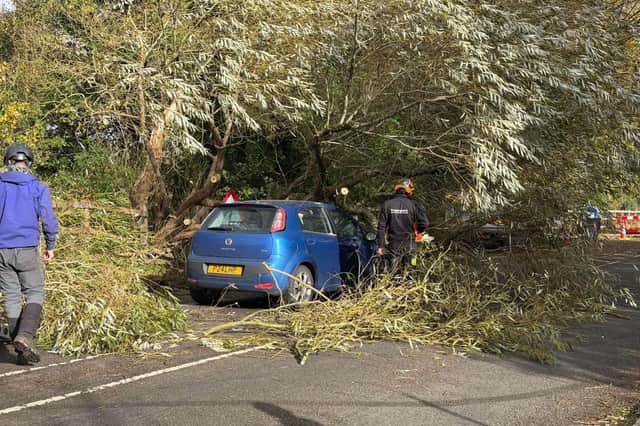 With the roof and bonnet damaged and the windscreen put in by the tree, Lucy's car has been deemed a write off