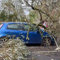 I survived Storm Boelo unscathed - but my car is a write off