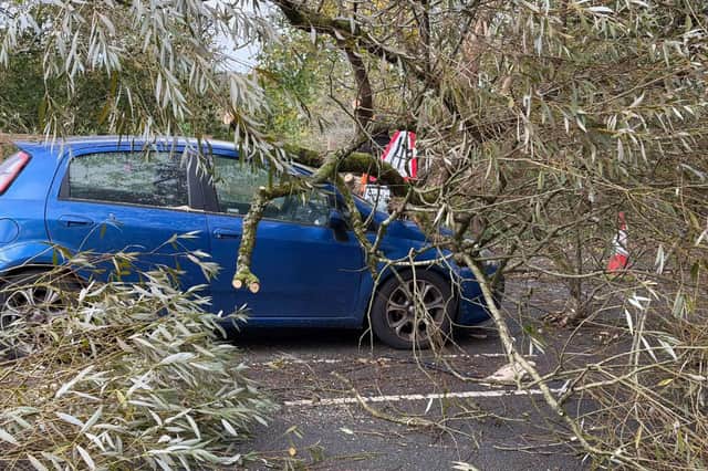 20-year-old Lucy Page from Coppull had a near miss yesterday while travelling to work in the grip of Storm Boelo when a tree fell on top of her car.