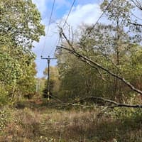 This is what we are dealing with - Electricity NW show damage Storm Boelo brought across Lancashire