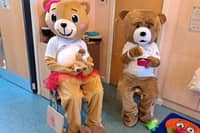 The Ribbleton Family Hub Teddy Bears' Picnic