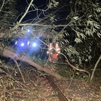 North West rail passengers thanked for patience after Storm Boelo disruption