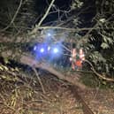 Torrential rain and gales, with gusts of up to 70mph, flooded some tracks and brought down trees which damaged the infrastructure and delayed trains. 