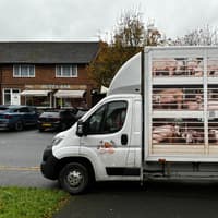 PETA targets bacon butties in Preston as part of 'Hell on Wheels' vegan campaign