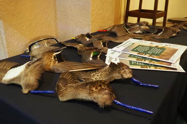 Wing clipping examples used by BASC for research