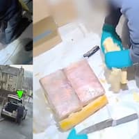 Watch incredible moment police discover 4.5 tonnes of cocaine in massive shrink-wrapped wheels of Gouda cheese