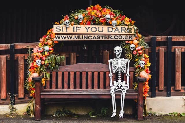 Make no bones about it .... Muncaster Castle's Halloween Festival is great fun
