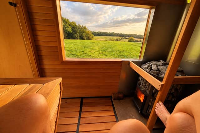 The view from the sauna