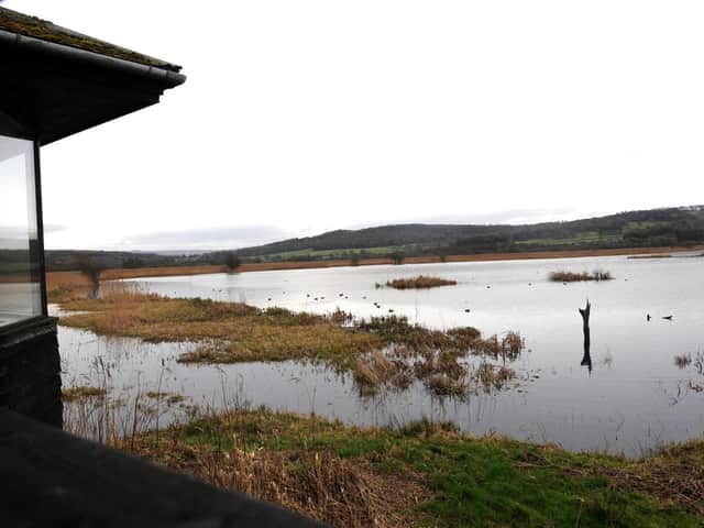 National Lottery players can enjoy a free day out at RSPB's Leighton Moss Reserve
