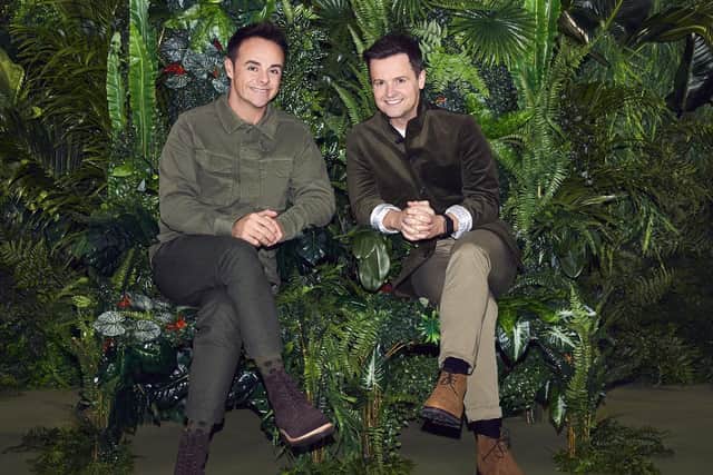 Ant and Dec in the jungle for I'm a celebrity: Get me out of here!