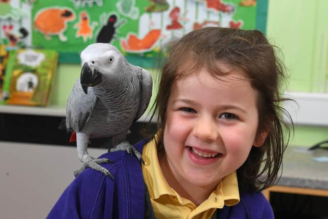 Esme with Pee the parrot (Images and video: JPIMedia)