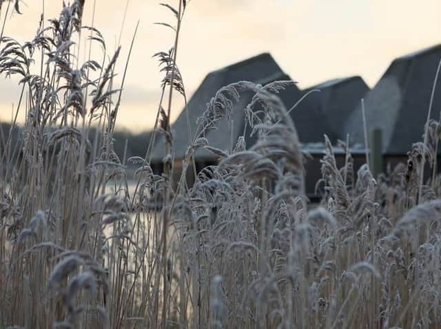 Take in the winter scenery with a Midweek Meander around Brockholes, Samlesbury