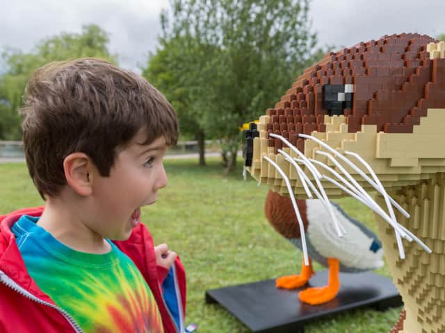 A visitor to the Lego trail. Credit: WWT