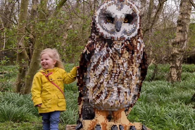 A young visitor next to the Lego short-eared owl at WWT Martin Mere. Credit: WWT