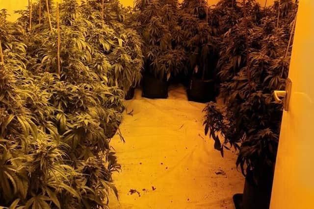 Police raided homes in Birkdale Drive and Marr Hill Crescent in Preston yesterday (December 19) where they discovered two cannabis farms. Pic: Lancashire Police