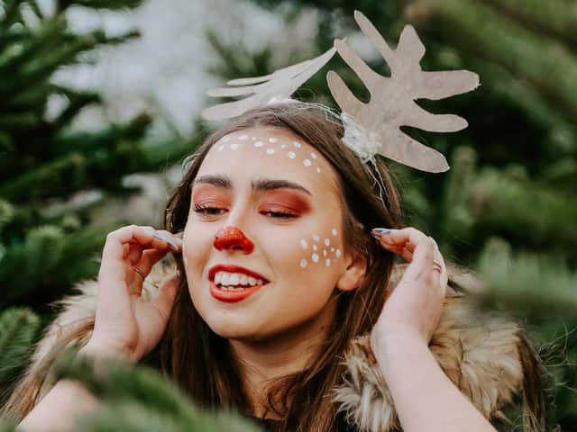 . The reindeer by Joanna Matheson.