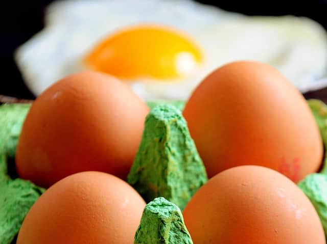 Vegan diet could help cut diabetes and heart disease risk