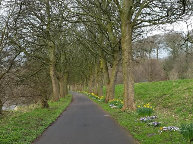 Cyclists and walkers who use Prestons Guild Wheel will notice a diversion to the route which is being put in place on Monday.