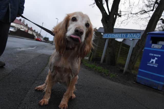 Many Lostock Hall residents say dog fouling is a problem all over the area but one of the areas where it is particularly bad is St Cuthbert's Road.