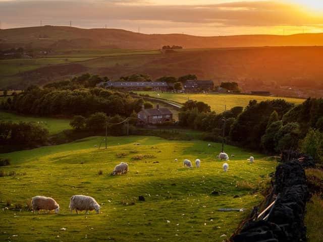 Spring time always provides some welcome release from the cold and dark of winter. Picture: Shutterstock