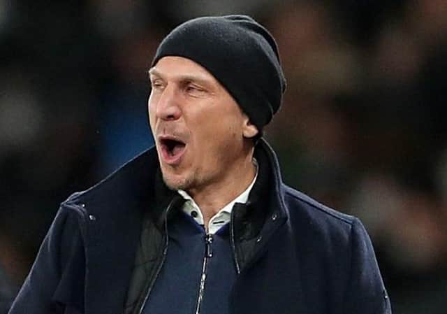 Barnsley head coach Gerhard Struber