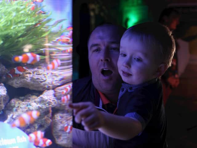 Enjoy a family day at the Sealife Centre, Blackpool, with the Local Residents Annual Pass