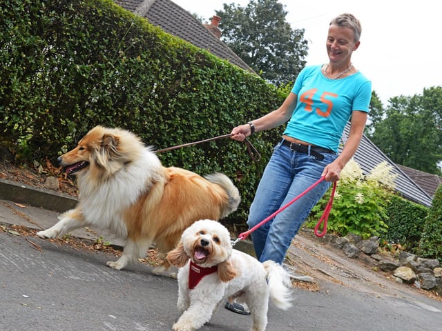 Lancashire Recommends... dog kennels