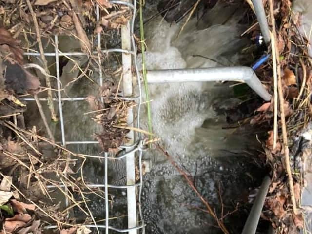 The Labrador became trapped after it fell into this culvert in Factory Lane, Penwortham during heavy rainfall on Sunday (February 16)