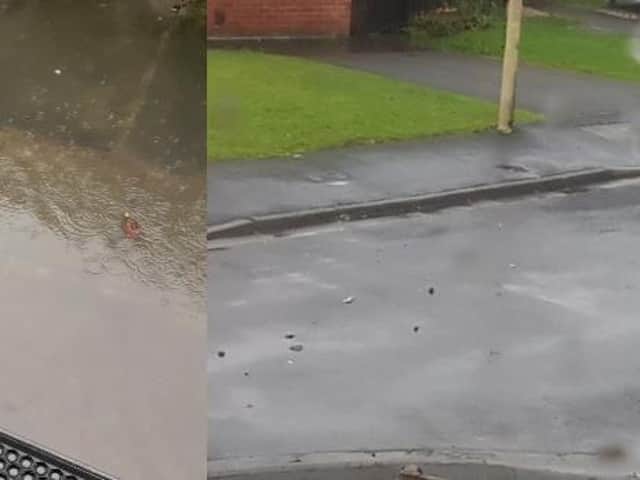 These pictures show excrement floating in Carols garden and left behind after flooding in Greenside