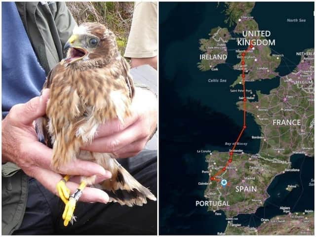Apollo and the route of his journey through Europe