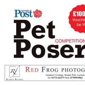 Lancashire Post Pet Posers 2020: Vote for the cutest pet in the county