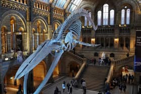 You don't need to leave home to see some of the world's greatest museums!