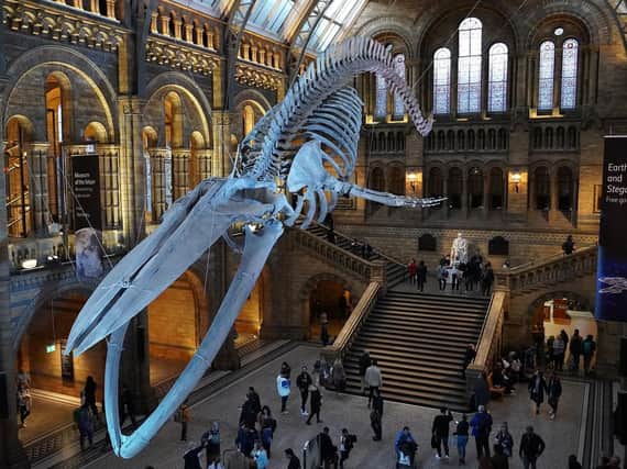You don't need to leave home to see some of the world's greatest museums!