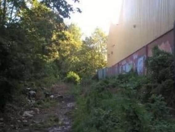 The overgrown track at the rear of West View Leisure Centre