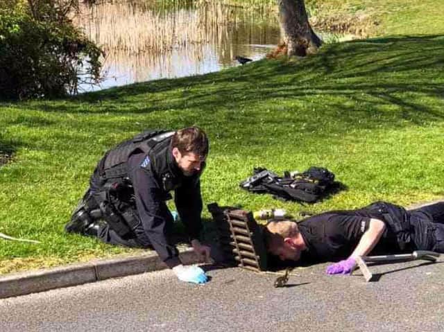 The long arm of the law - Officers rescue a flock of ducklings from a storm drain in Cypress Point, Lytham yesterday (Tuesday, April 7). Pic: Lancashire Police