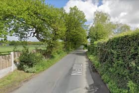 Residents reacted angrily when hedgegrows on Nell Lane were threatened by development last year (image: Google Streetview)