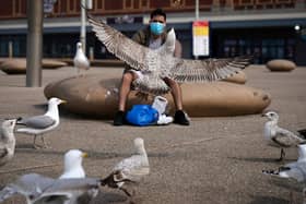 Seagulls are fed bread by a local man wearing a mask near the deserted beach and promenade in Blackpool (Photo by Christopher Furlong/Getty Images)