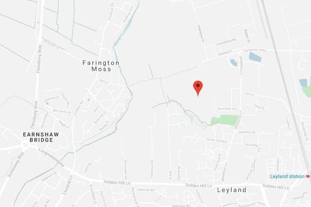 Vets 4 Pets said a dog has been infected with Alabama Rot after walking in fields near the River Lostock, Leyland in March