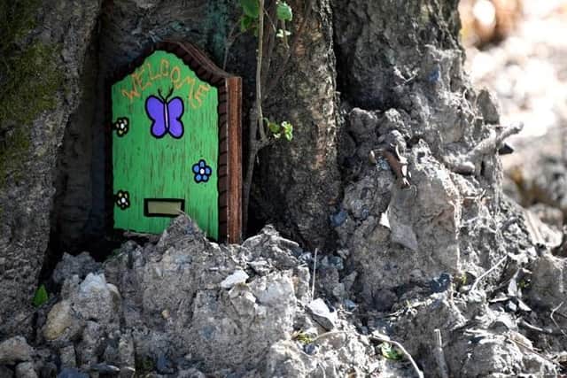 Fairy doors have sprung up in Buckshaw Wood