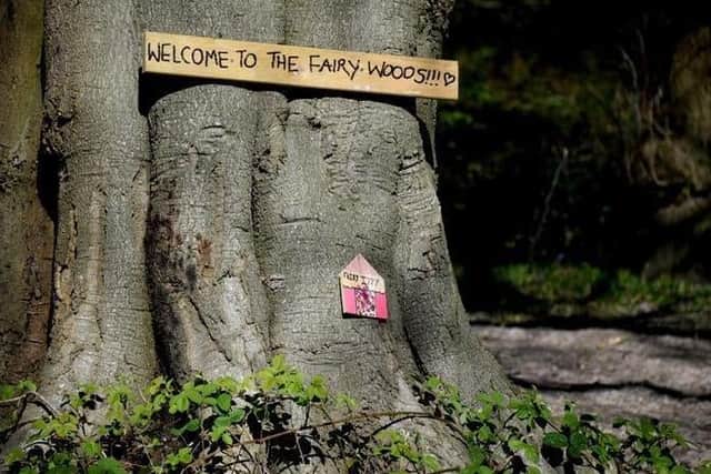To the delight of children in Buckshaw, the woods have become home to a fairy wonderland